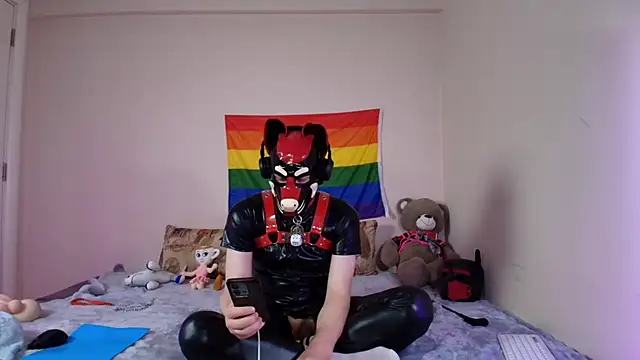 K9_GoodBoy: διαδικτυακό σόου στην κάμερα