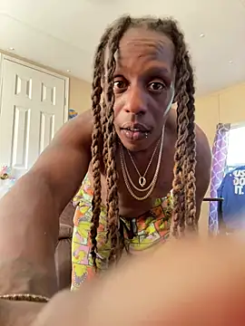 Show Webcam de BigWayneDC