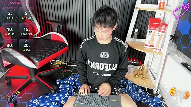 Cristopher_Wildn Webbikameraesitys