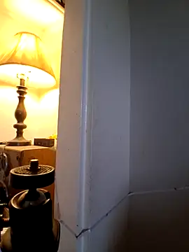 Pertunjukan Kamera Web Dunkas69