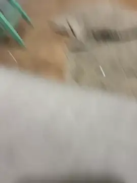 suprem26 Webcam show