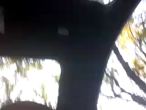 Show Webcam de SukItSlo444