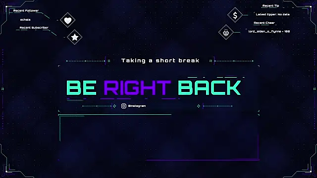 Show Webcam de bottombeargaming