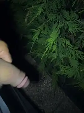 Show Webcam de Onenigthfire