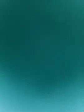 SamsonGotowyNaOstron Webbikameraesitys