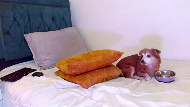 cedrixx10 élő XXX-chatje