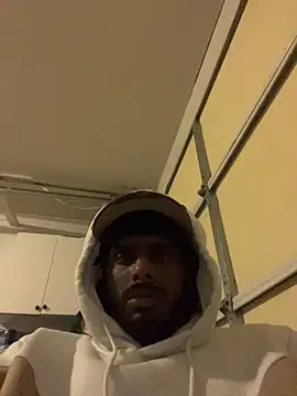 dingoding: онлайн-секс-чат