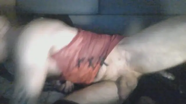 chceciedalsiebie 在線直播表演