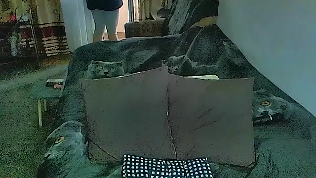 sex2 Adlı Modelin Canlı XXX Sohbeti