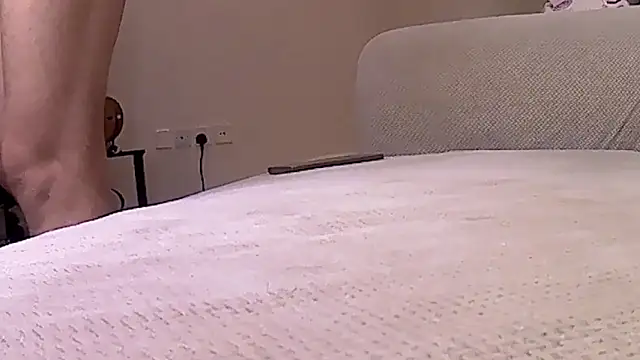 عرض كام Pharaoh_Stud