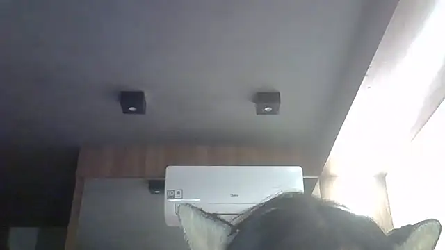 SkinnyKitten's Webcam Show