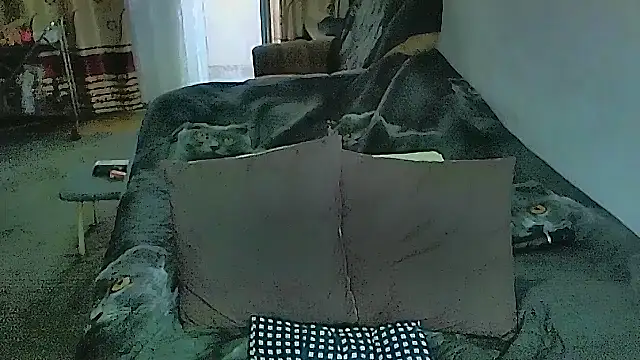 sex2 élő XXX-chatje