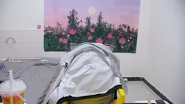 Chocolates-001 Webcam show