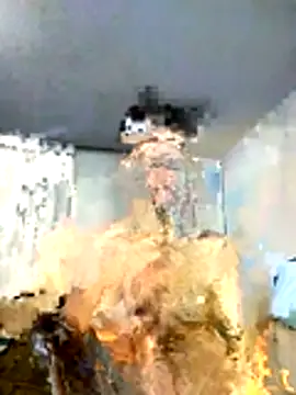 Senkoreman_hard Webcam-Show