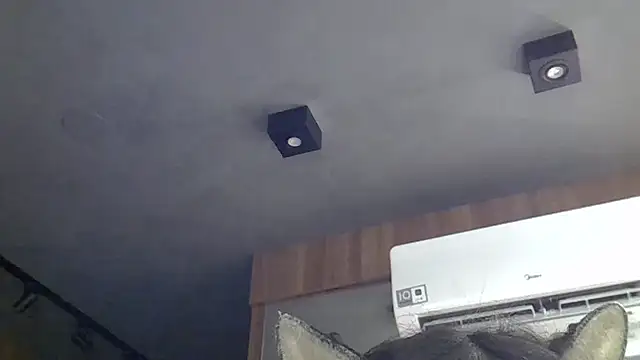 SkinnyKitten Obrolan Langsung XXX