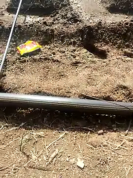 Wildlife_With_devil_89 Obrolan Langsung XXX