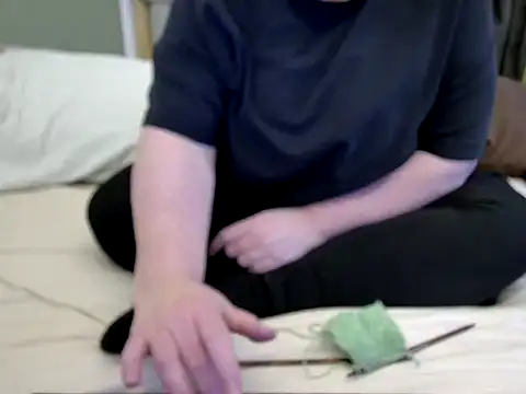 MarthaBriestn Webbikameraesitys