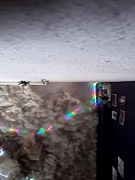 lucyyferr Show Webcam