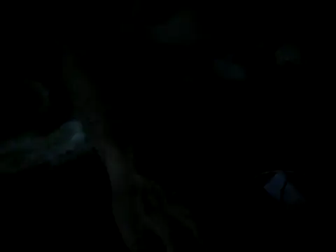 XXX chat uživo modela cabecaoegreluda