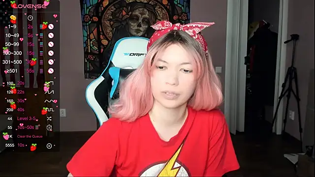 Project_hisoka Webcam-Show