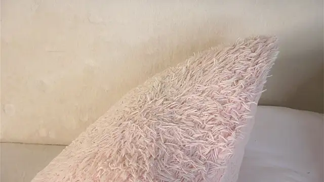 WiloneBoardley Chat XXX live