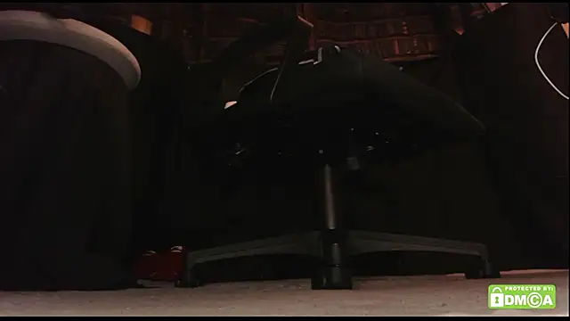 Show Webcam de justshutupandwatch