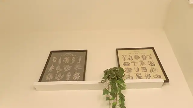 Chat +18 de Meganlove__ ao vivo