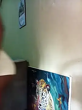 kashAsia 라이브 XXX 채팅