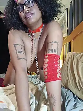 Pertunjukan Kamera Web BdyNdSol