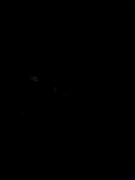 Show webcam de Marianatrans01