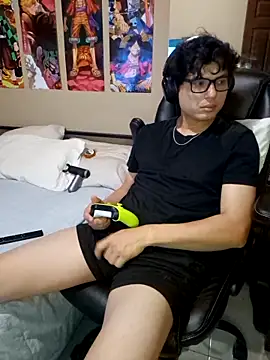 Ais_B10n Webbikameraesitys