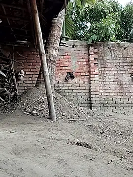 Sweet-runi's Webcam Show