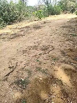 Sheela_Sex90n Webbikameraesitys