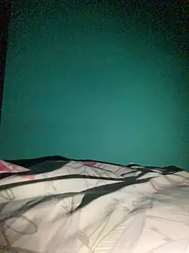 Pinktopdickk's Webcam Show