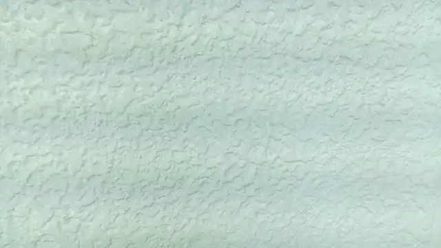 عرض كام WandaRosse