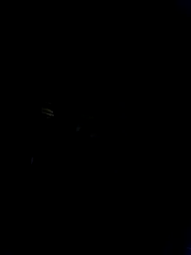 Marianatrans01 Webcam show