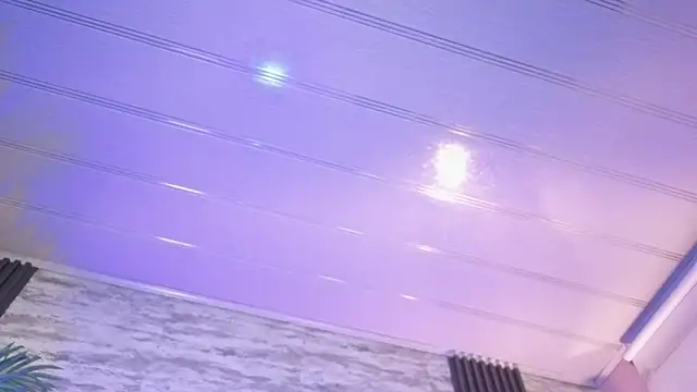 sakuramoss 现场XXX聊天