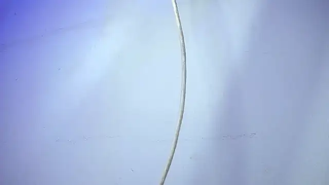 XXX chat uživo modela adalya_y