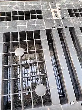 แชท XXX สดของ Hgay6935