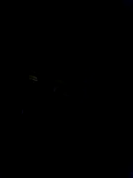 Marianatrans01 在線直播表演