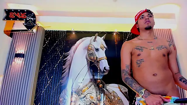 Вебкам-шоу the_knights_of_the_night_