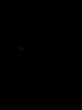 Marianatrans01's Live Chat Room