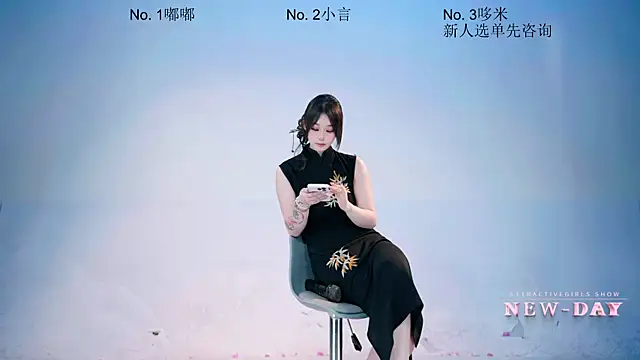 Show webcam de NEW-DAY