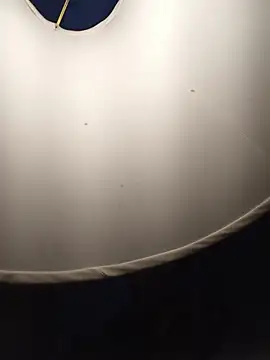 sexboybwc_assfucker: вебкам-шоу