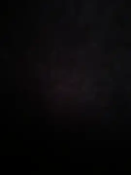 bensenbiz111 – Kamerová šou