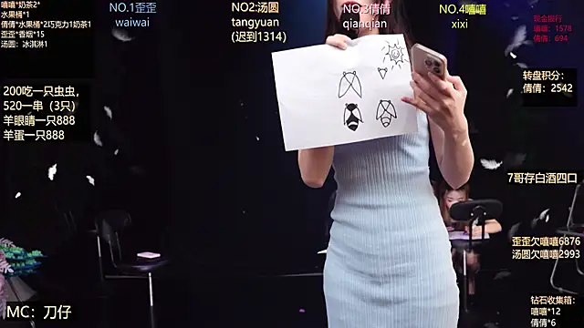 Bgirl-001n Webbikameraesitys