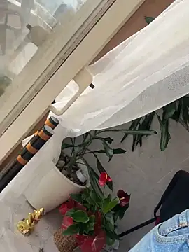 Czat XXX na żywo – Noitelivre