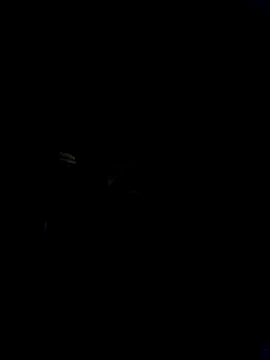 Marianatrans01's Live Chat Room