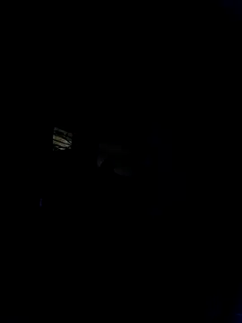 Marianatrans01 webcam show