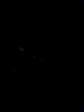 Marianatrans01 Show in webcam